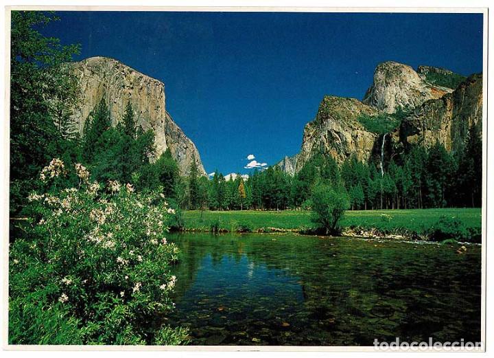Postales: Postal grande USA. El Capitan. Yosemite National Park 675