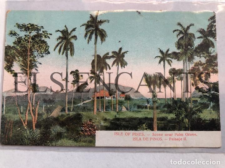 Postales: POSTAL CUBA ISLA DE PINOS CIRCULADA 1909 - Foto 1
