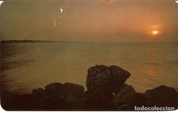 Postcards: POSTAL MEXICO - ATARDECER EN EL PUERTO DE PROGRESO , YUCATAN