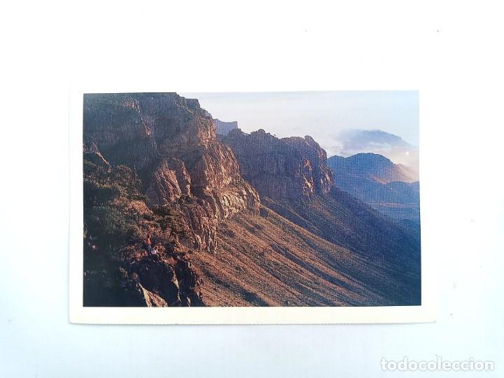 Postales: TARJETA POSTAL USA - TEXAS. POST CARD