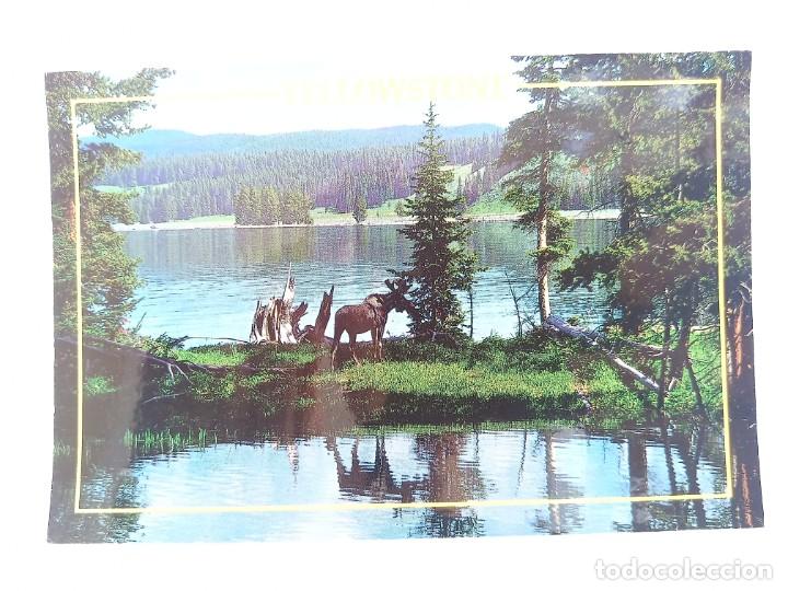 Postales: TARJETA POSTAL USA - YELLOWSTONE. WYOMING. POST CARD