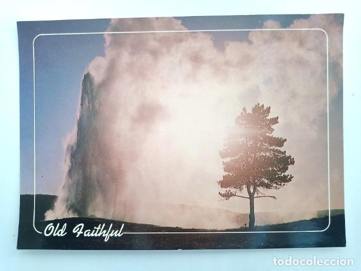 Postales: TARJETA POSTAL USA - OLD FAITHFUL - YELLOWSTONE. WYOMING. POST CARD