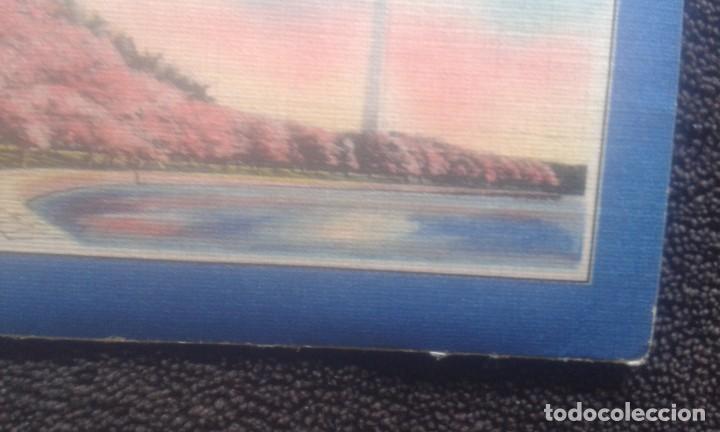 Postales: GREETINGS FROM WASHINGTON D.C. SOUVENIR. - Foto 9