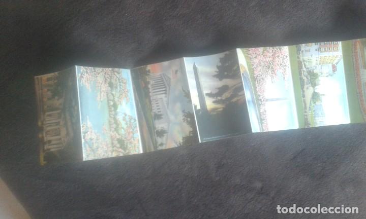 Postales: GREETINGS FROM WASHINGTON D.C. SOUVENIR. - Foto 13