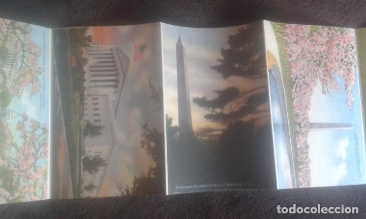 Postales: GREETINGS FROM WASHINGTON D.C. SOUVENIR. - Foto 20