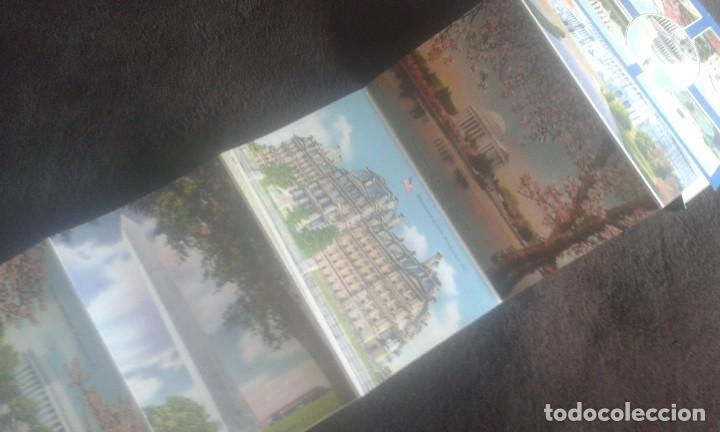 Postales: GREETINGS FROM WASHINGTON D.C. SOUVENIR. - Foto 23