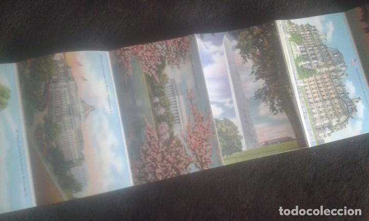 Postales: GREETINGS FROM WASHINGTON D.C. SOUVENIR. - Foto 24