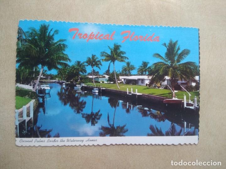 Postal tropical florida