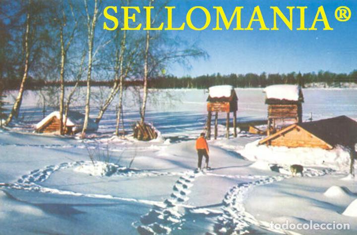 Postales: POSTCARD TRAPPER'S CAMP ON FROZEN SUCKER LAKE ALASKA CC05006 USA