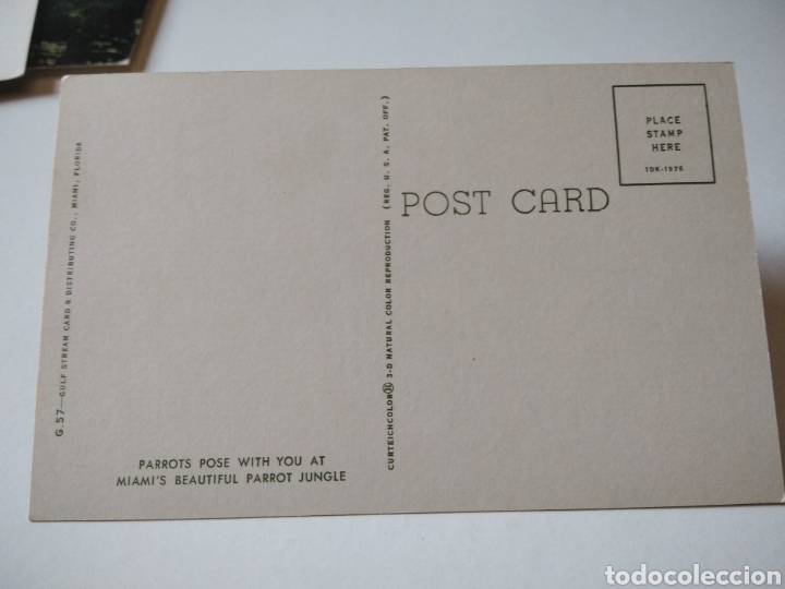 Postales: Postal miami Loros - Foto 2