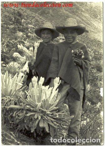 Postales: Venezuela. MERIDA. Muchachos del P&aacute;ramo de Mucuchies. - Foto 1