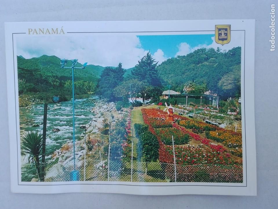 Postcards: POSTAL1420 SIN USAR - DISTRIBUIDORA LEWIS DLSA-CC169 - BOQUETE PANAMA - FLORA RIO JARDIN