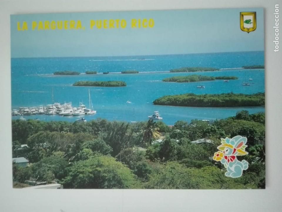 Postcards: POSTAL1499 NUEVA - ESCUDO DE ORO CARIBE 697 - LA PARGUERA PUERTO RICO