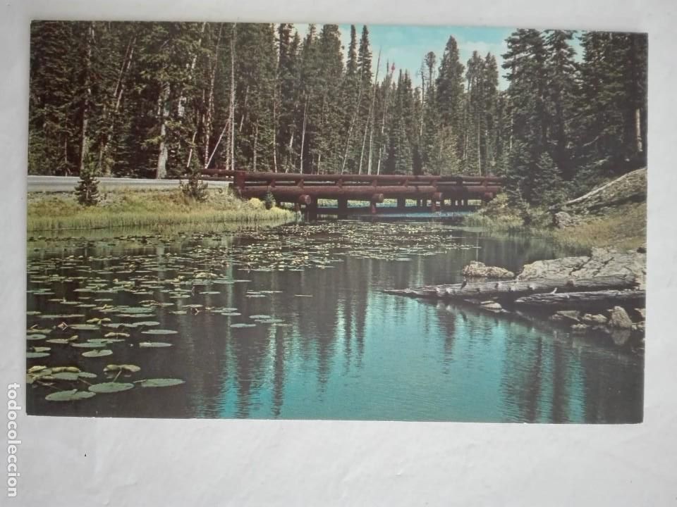 Postkarten: POSTAL2036 NUEVA - CROCKER 197 - ISA LAKE YELLOWSTONE PARK - USA PUENTE