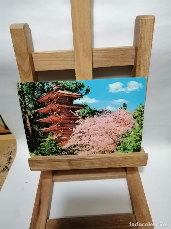 Postcards: POSTAL JAPANESE TEA GARDEN SIN CIRCULAR