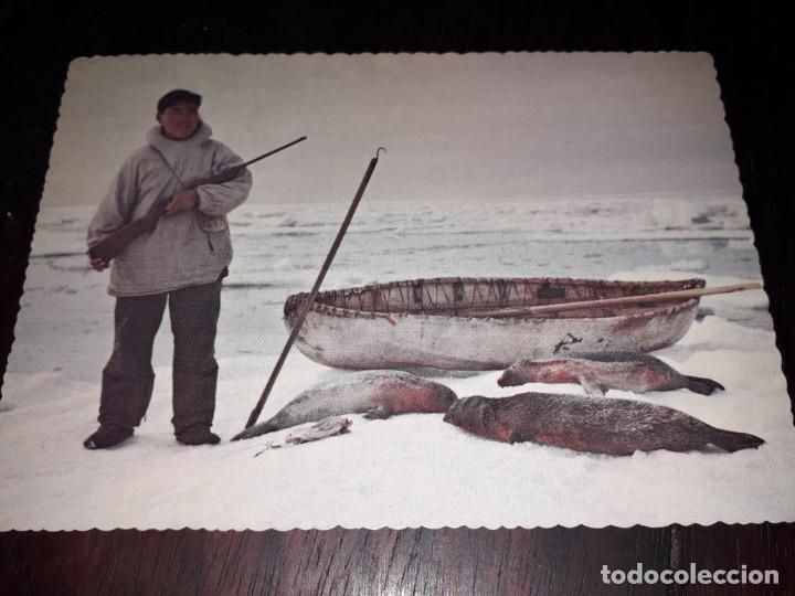 Postais: N&ordm; 50280 POSTAL ALASKA ARTIC SEAL HUNTER