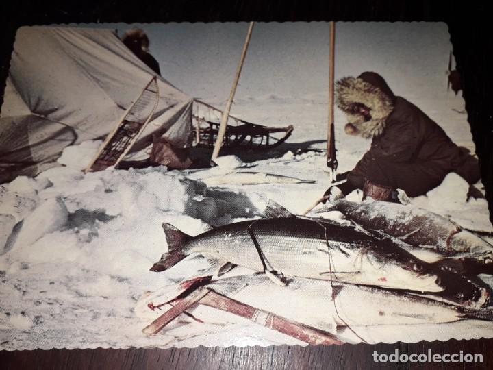 Postcards: N&ordm; 50281 POSTAL ALASKA SHEE FISHING IN ARTIC
