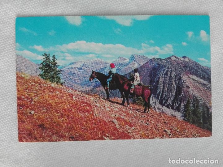 Cartes Postales: POSTAL2233 ESCRITA - COOPER C-148 - ENJOYING THE HIGH MOUNTAINS ON PACK HORSE TRIP - USA - CABALLO