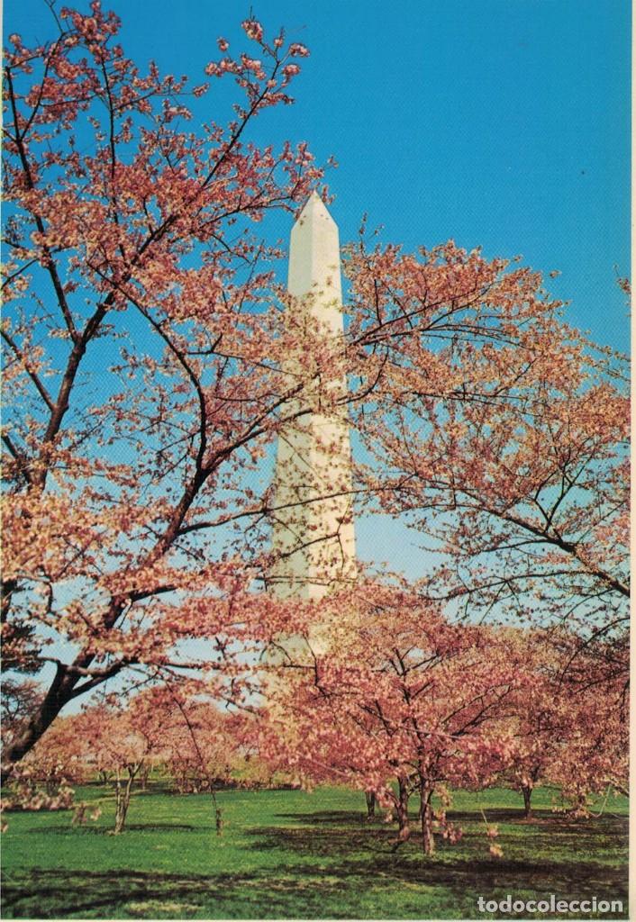 Postales: Washington Monument. / Postal sin circular - Foto 1