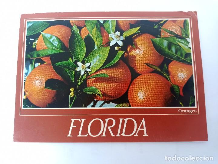 Postais: TARJETA POSTAL. A&Ntilde;O 1991. USA. FLORIDA ORANGES AND BLOSSOMS. NARANJAS