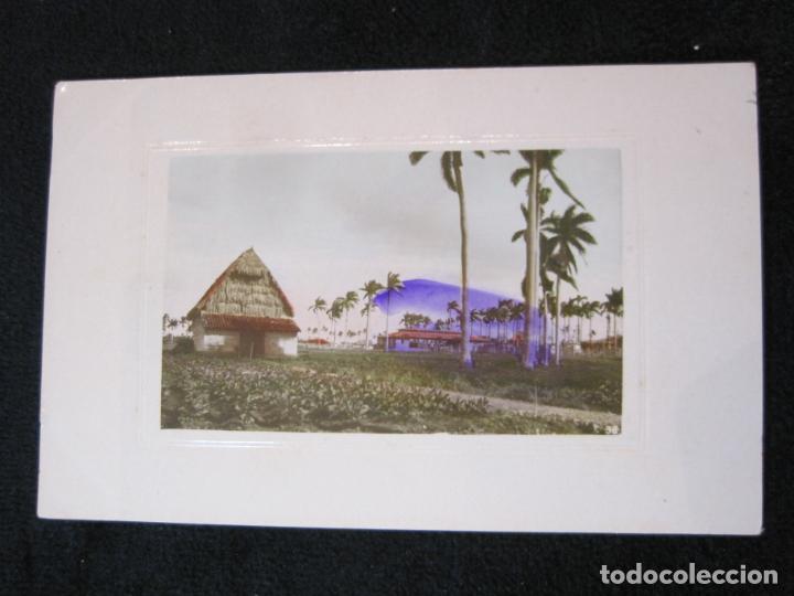 Postais: CUBA-VEGA DE TABACO-EDICION JORDI-POSTAL ANTIGUA-(80.263)