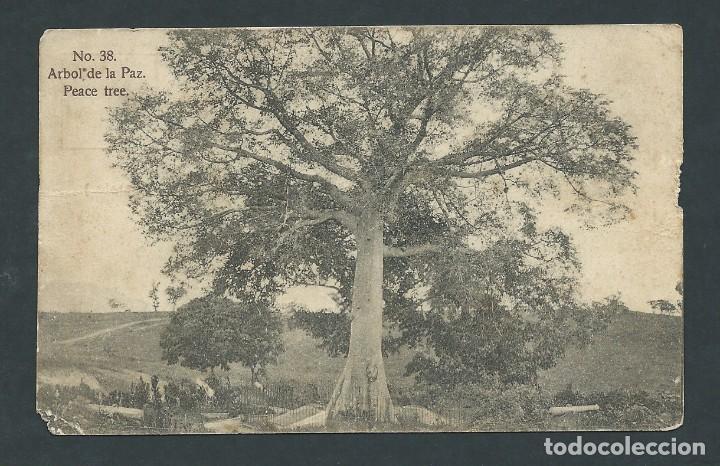 Postais: antigua postal la habana cuba el arbol de la paz circulada a&ntilde;o 1912