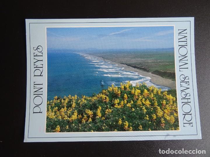 Postales: POSTAL POINT REYES 1993 SELLADA - Foto 1