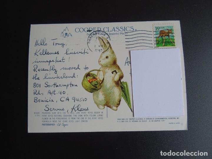 Postales: POSTAL POINT REYES 1993 SELLADA - Foto 2
