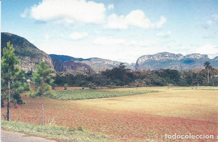 Postales: CUBA. INTERIOR DEL VALLE DE VI&Ntilde;ALES. TARJETA. NUEVA. - Foto 1