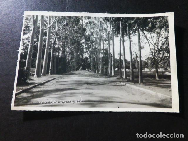 Postales: ASUNCION PARAGUAY PARQUE CABALLERO - Foto 1