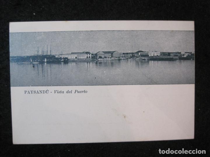Cartoline: PAYSANDU-VISTA DEL PUERTO-REVERSO SIN DIVIDIR-POSTAL ANTIGUA-(85.849)