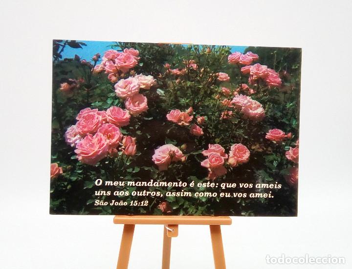 Postales: Postal 45 Brasil - Foto 1