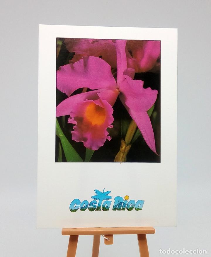 Postales: Postal de Costa Rica - Foto 1