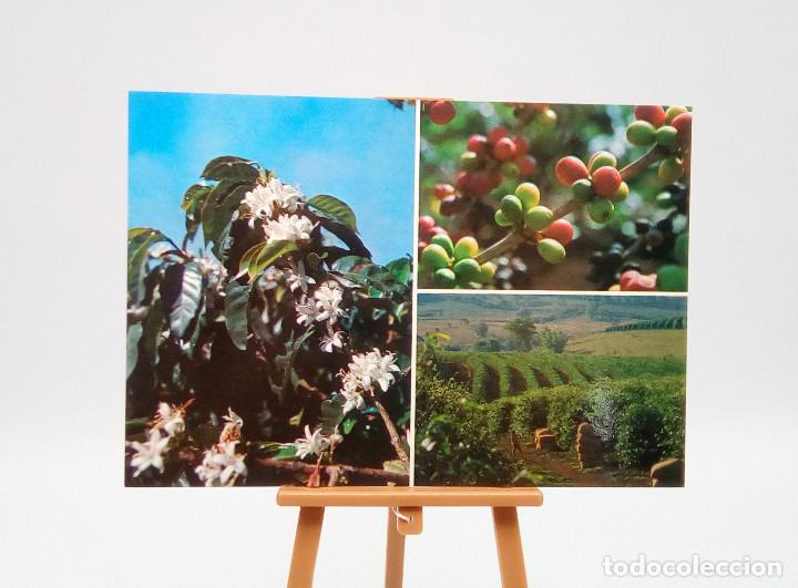 Postales: Postal 1 Brasil - Foto 1