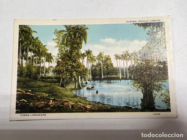 Postais: TARJETA POSTAL. CUBA. HABANA: PAISAJE CUBANO. N&ordm; 36. C. JORDI