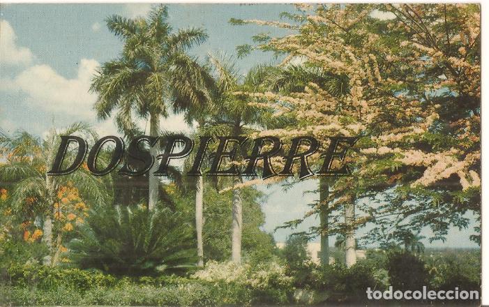 Postkarten: POSTAL, CUBA, LA HABANA, JARDIN PRIVADO, SIN CIRCULAR