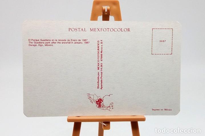 Postales: Postal 3687 Durango (M&eacute;xico) - Foto 2