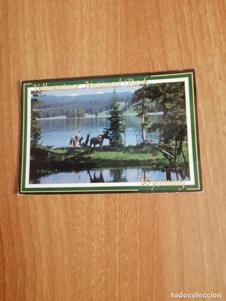 Postcards: POSTAL YELLOWSTONE NATIONAL PARK CIRCULADA