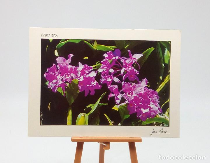 Postales: Postal 42 Costa Rica - Foto 1