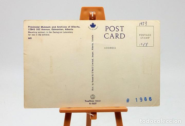 Postales: Postal 6 Edmonton (Canad&aacute;) - Foto 2