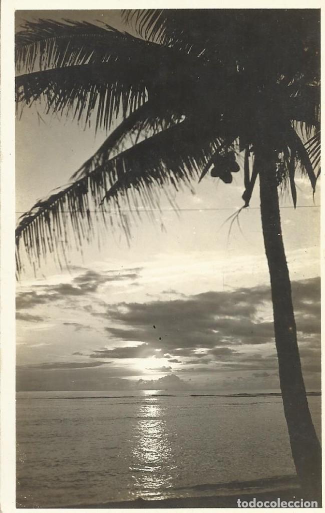 Postkarten: Caribe. Postcard. 9x14 cm. Playa con palmera y cocos. Postal.