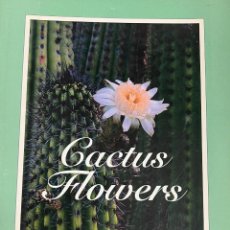 Postales: CACTUS FLOWERS 16 FULL COLOR GIANT POSTCARDS - POSTALES 2 X 4 IMPECABLES DIFÍCIL DE ENCONTRAR. Lote 322575078