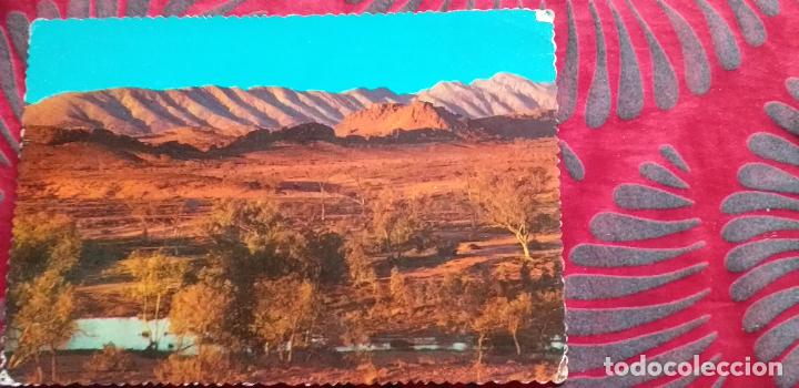 Cartoline: ESTADOS UNIDOS-V49-DANCING GIRLS FORMATION WESTERN MACDONELL RANGES