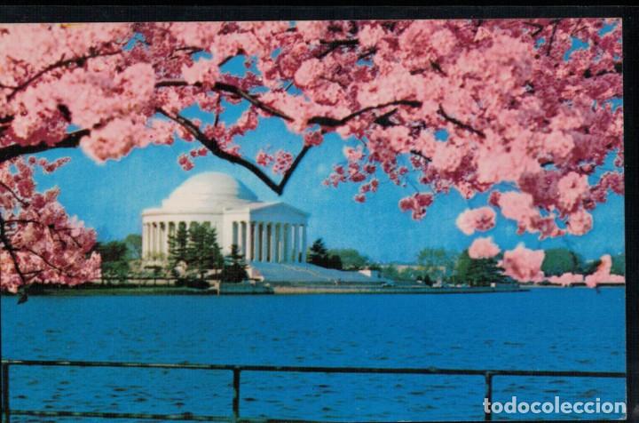 Postais: Jefferson Memorial. Estados Unidos. / Postal sin circular A&ntilde;os 50