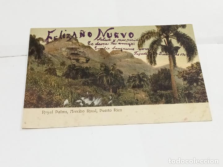 Postais: TARJETA POSTAL. ROYAL PALMS, ARECIBO ROAD. PUERTO RICO