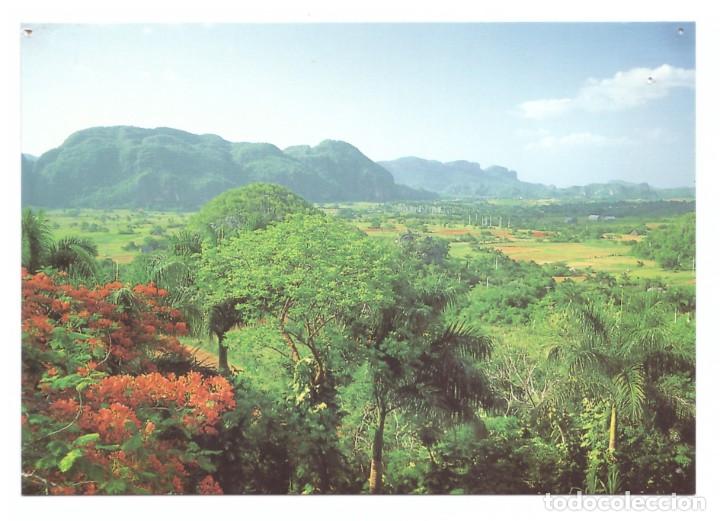 Postkarten: PINAR DEL R&Iacute;O (CUBA) // VALLE DE VI&Ntilde;ALES // SIN CIRCULAR