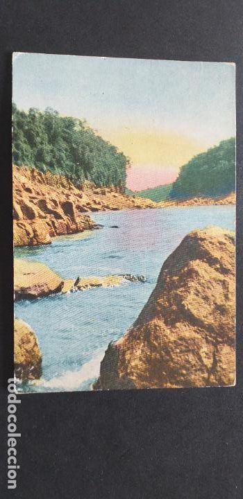Cartoline: BRASIL-V51-SXXII-140X85mm.-RIO IGUAZU-COSTA ARGENTINA-BRASILE&Ntilde;A