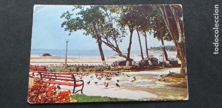 Cartoline: VENEZUELA-V51-SXXII-140X85mm.-PLAZA DE LAS PALOMAS,EN EL BALNEARIO DE MACUTO