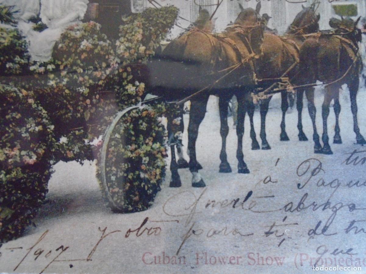 Postales: (PS-71537)POSTAL DE CUBA-FLOWER SHOW - Foto 2