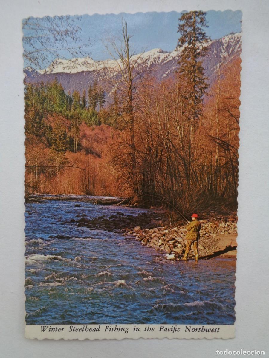 Postcards: POSTAL DEL PACIFICO NOROESTE ( ESTADOS UNIDOS ): PESCANDO . A&Ntilde;OS 60
